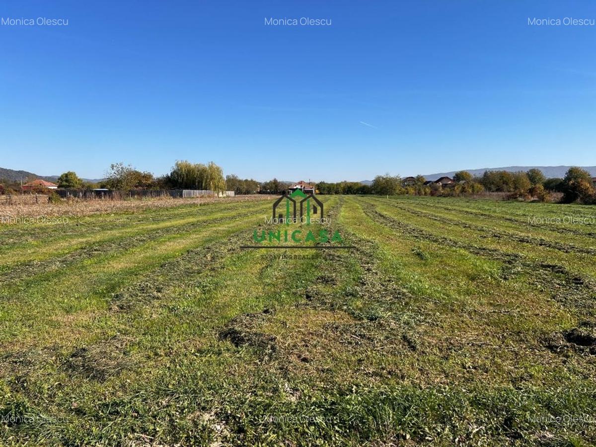 Teren intravilan/Str Balciului/Copacelu - 4