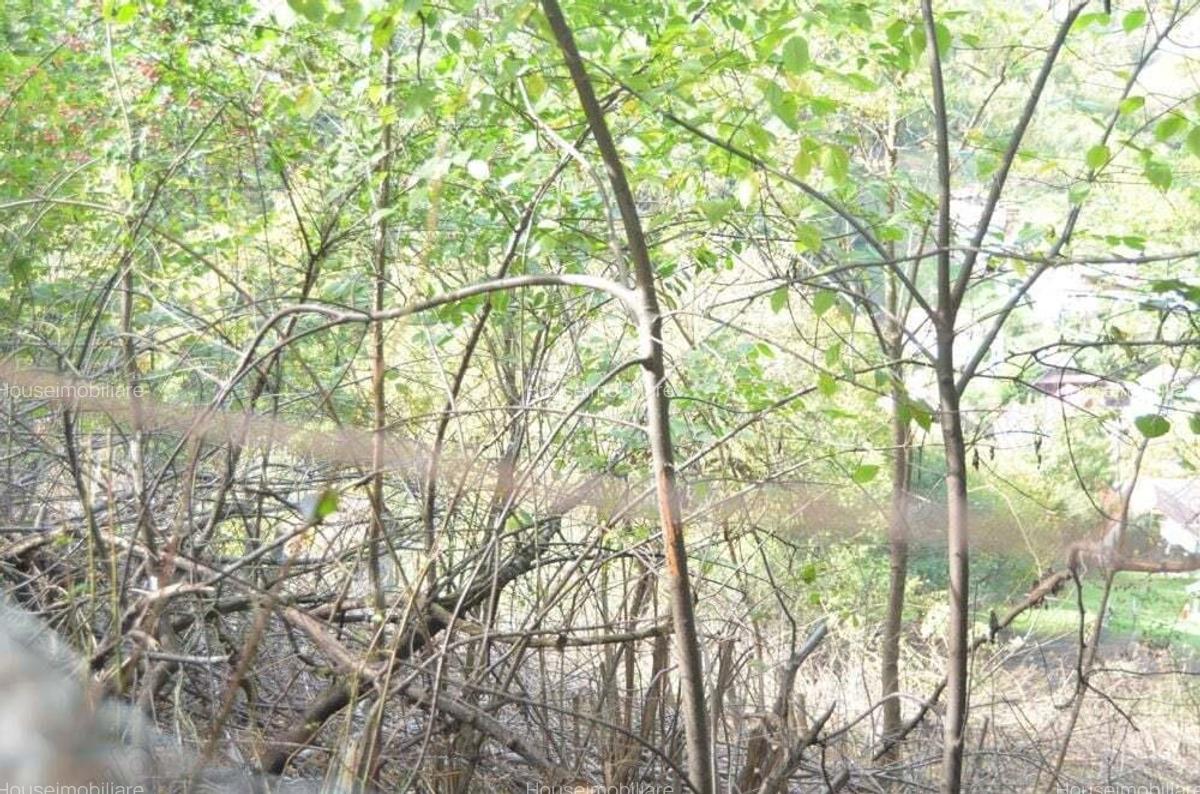 Brasov-Schei -Teren intravilan de vanzare - 7 Brasov-Schei -Teren intravilan de vanzare - 7