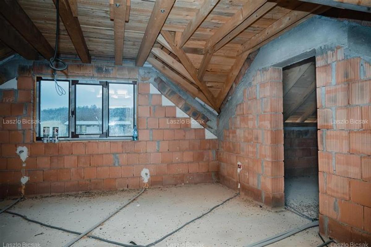 FILM! Domeniu de 5.000mp +Casa, in Berchez:o bijuterie ascunsa a Maramuresului - 12