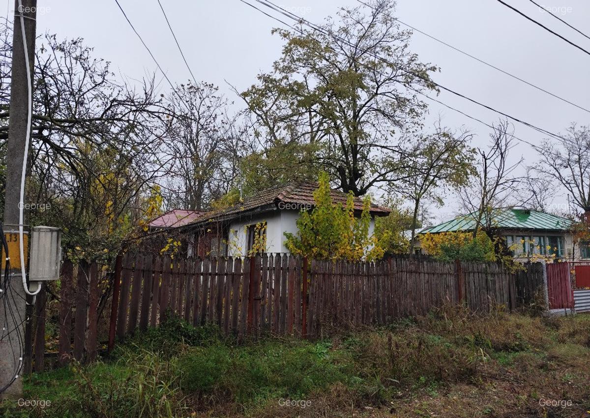 Casa batraneasca plus teren 1600mp Toporu jud. Giurgiu - 14