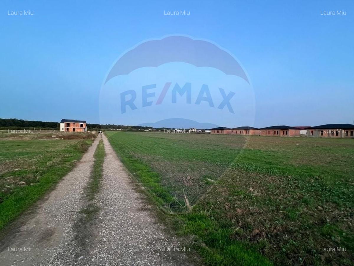 De vanzare Casa / Vila 5 camere la rosu + 540 mp teren Balotesti - 3