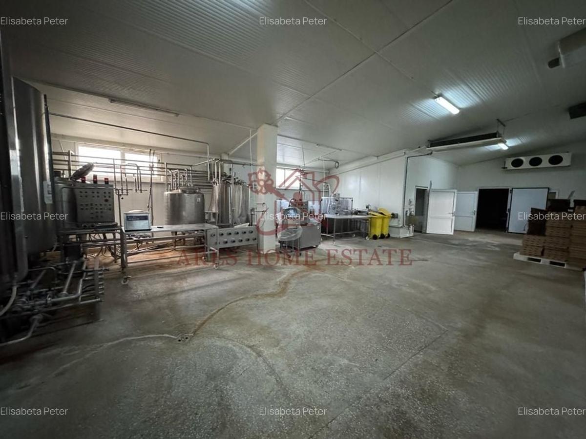 Spațiu industrial, 1200 mp în Bucovăț (Remetea Mare) - 8