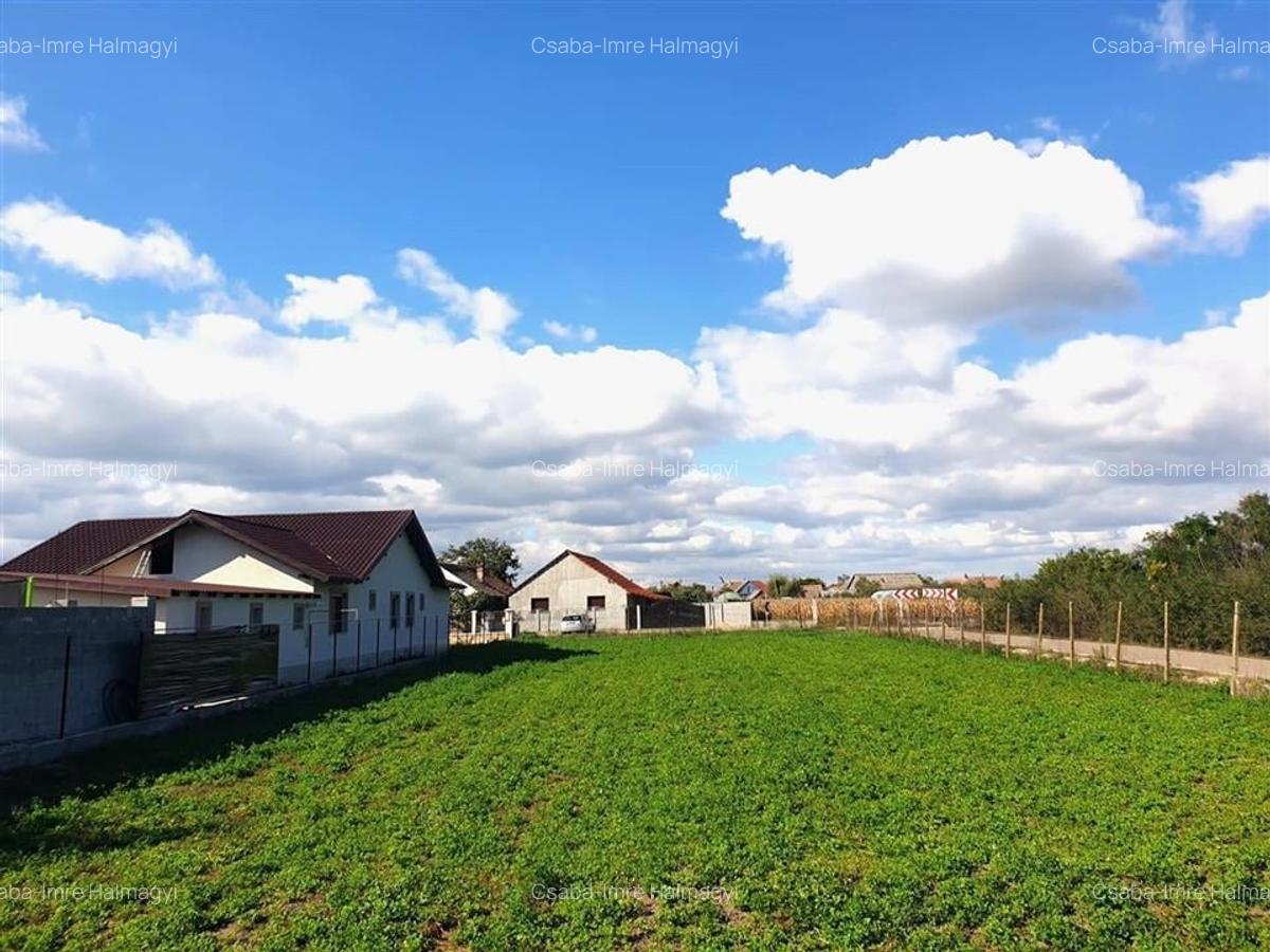 Casa cu teren in Cefa cu dublu front stradal - 13