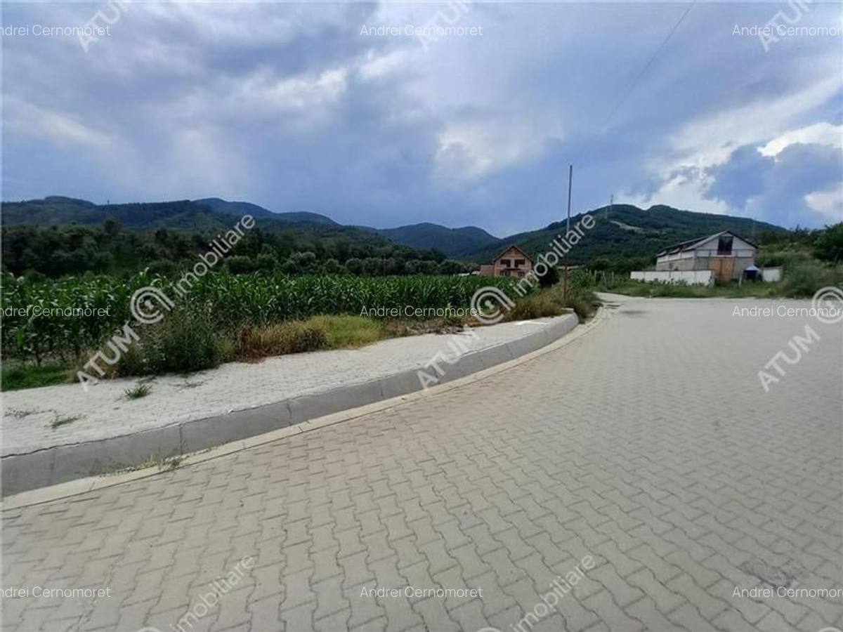 De vanzare 733 mp in Boita Sibiu - 4