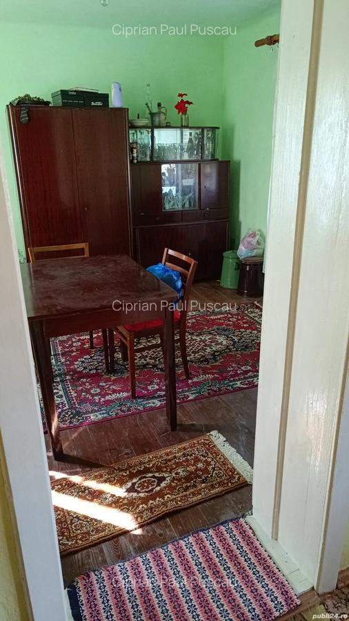 Casa cu gradina in Ale?d - 6 Casa cu gradina in Ale?d - 6