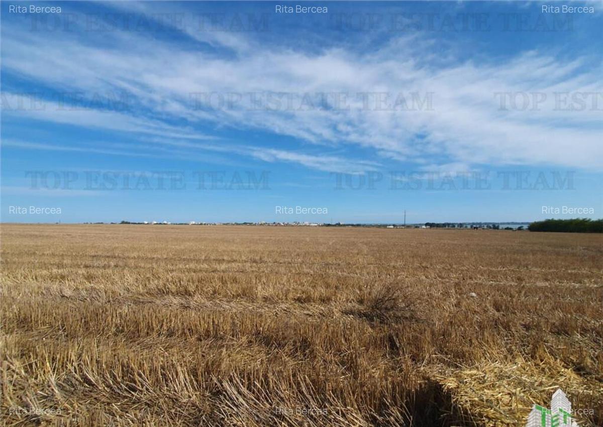 Teren Techirghiol - 8