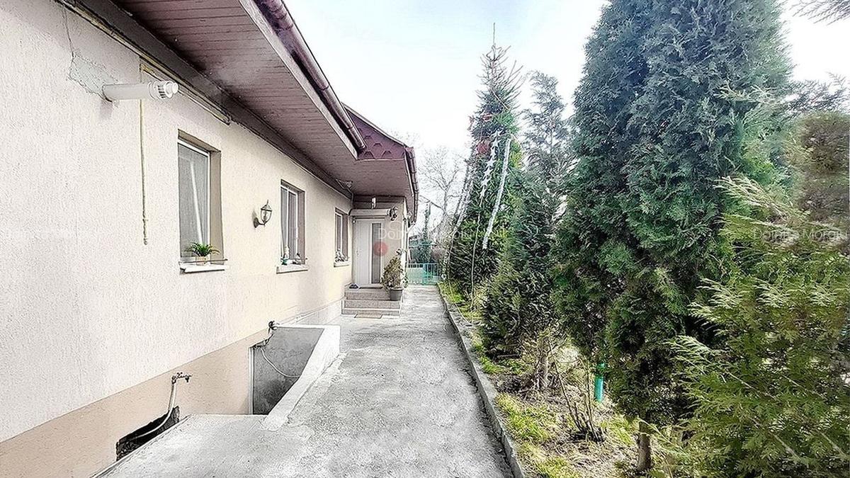 Zona Linistita - 1