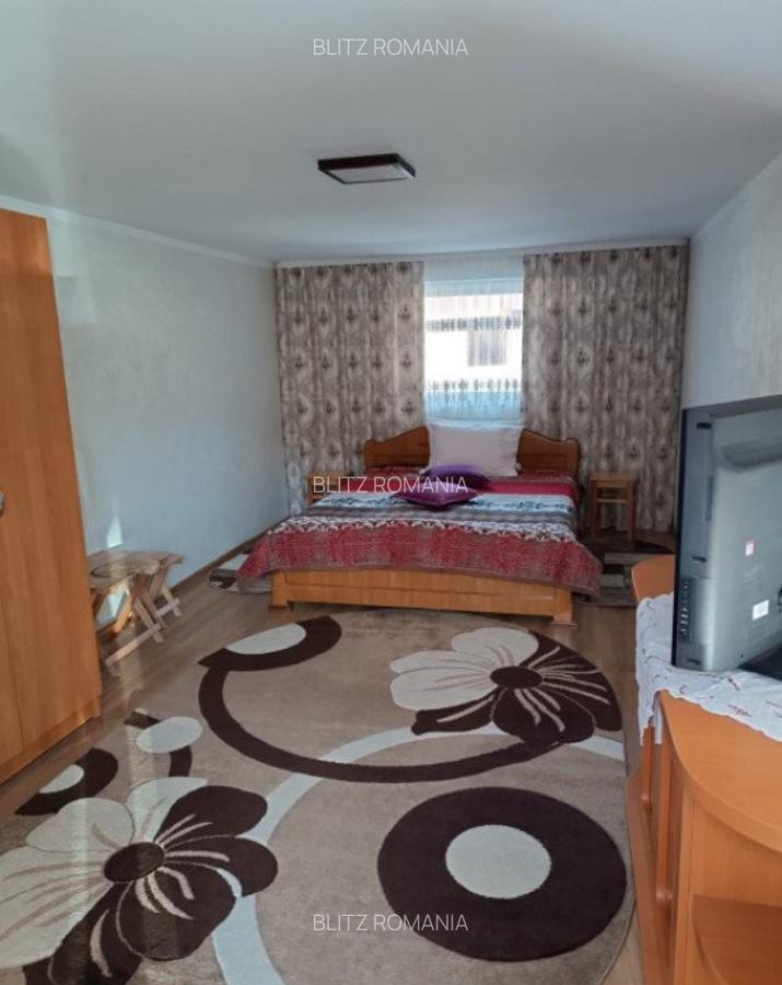 Casa individuala, teren 5200mp, oportunitate de investitie, - 3