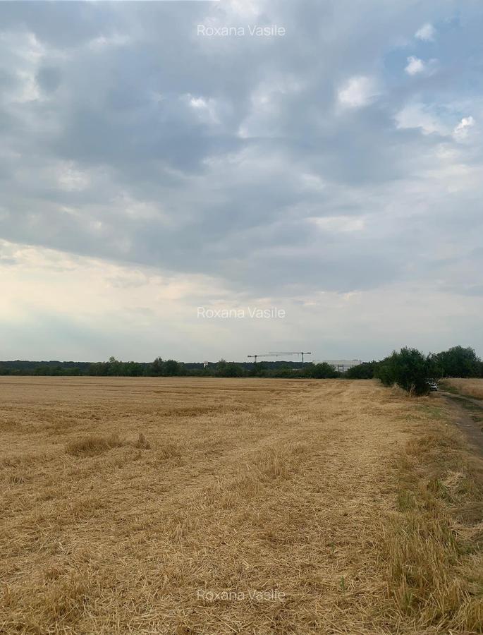Vanzare  Teren Intravilan  Stefanesti DJ200 - 2