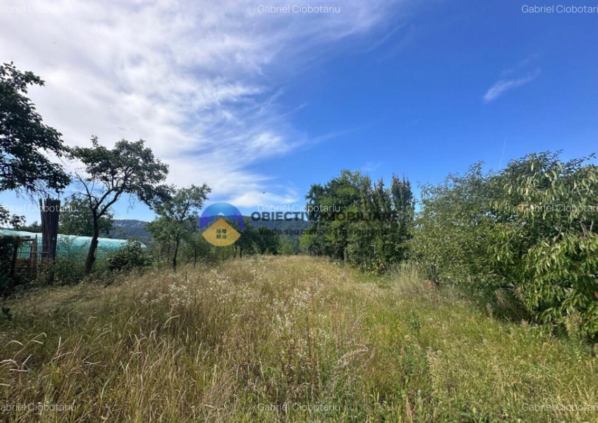 Teren + Casa de Vanzare 1170 mp Dumbrava Ro?ie, N - 9