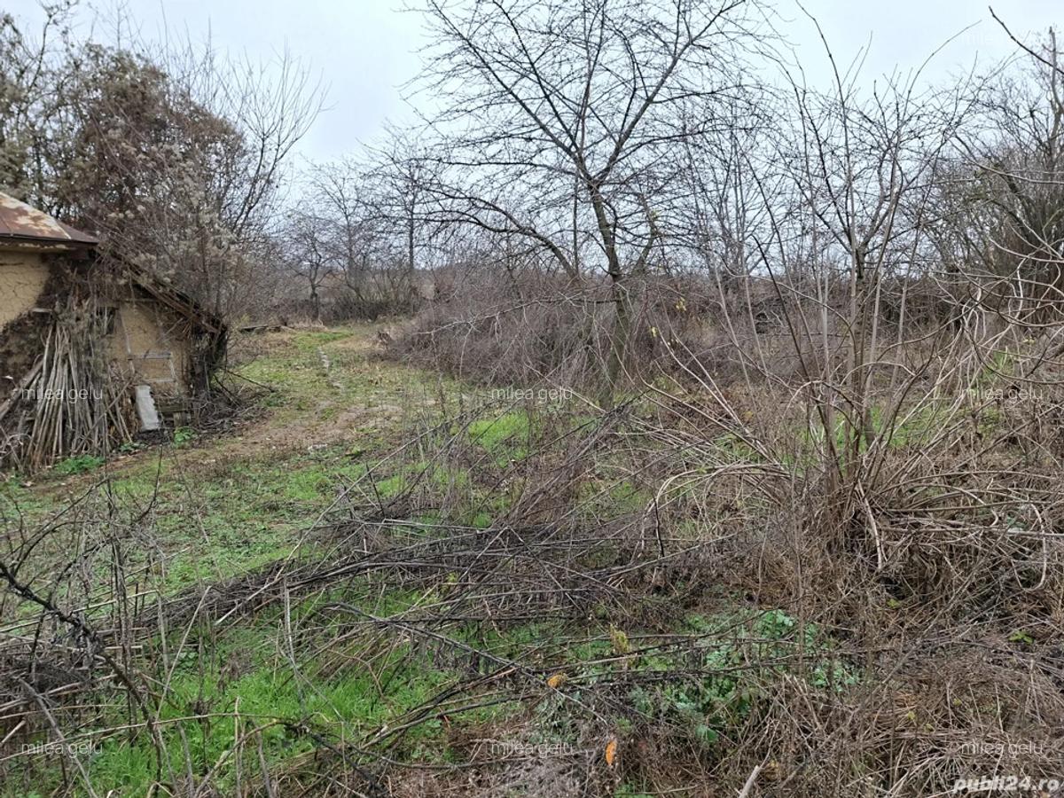 Casa batraneasca de vanzare com. Faraoani jud . Bacau - 2