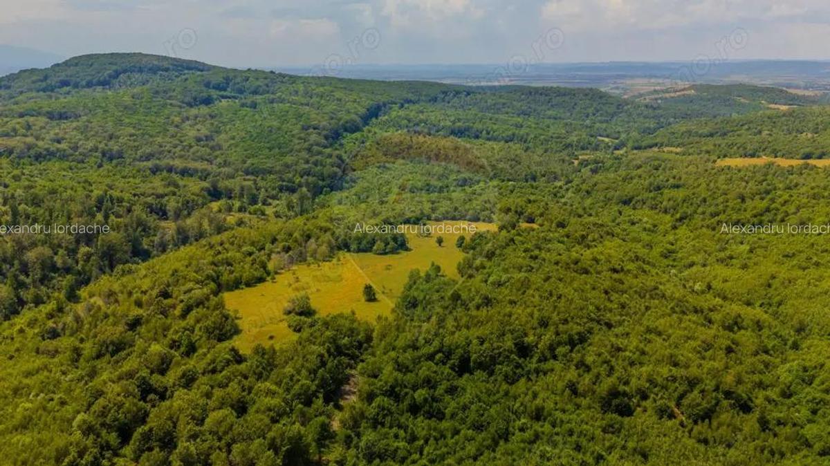 COMISION 0% Teren Grid/Inima Naturii/ Oportunitate de investi?ie - 5