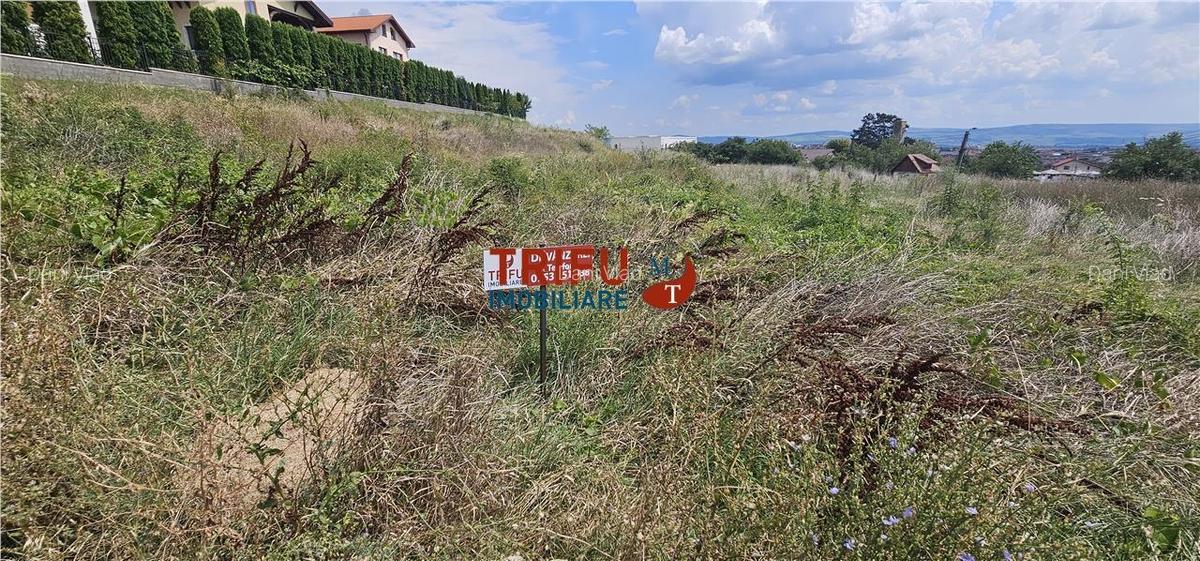 Teren cu utilitati de vanzare, 1076 mp teren, Zona Cetate - 2