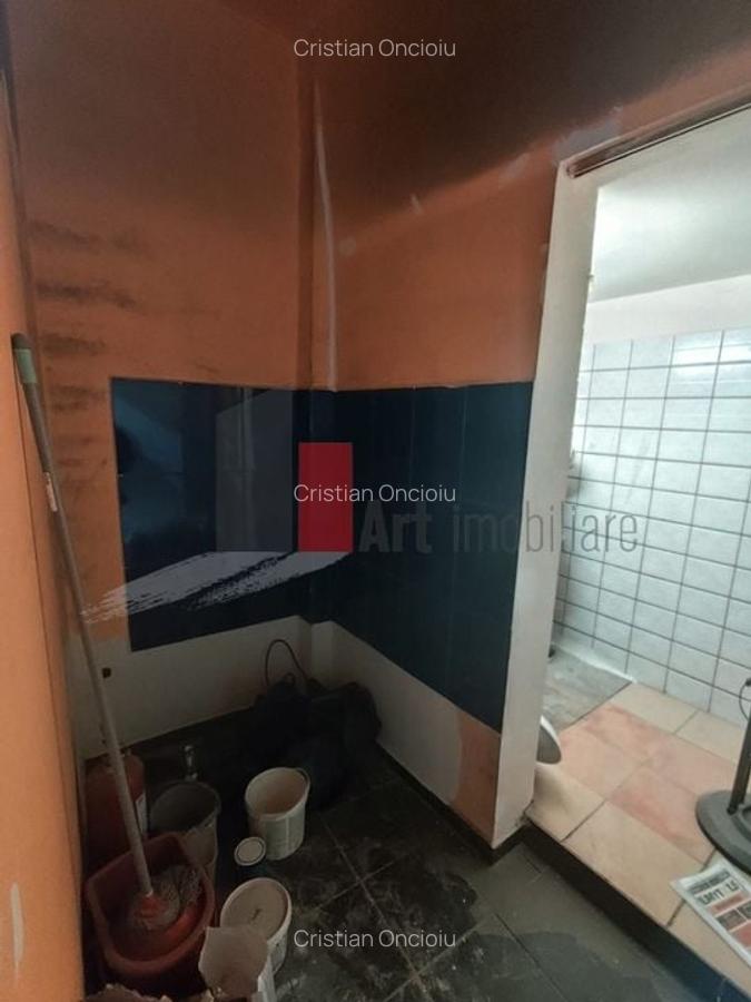 Spatiu Piata Domenii, trafic pietonal si auto - 5