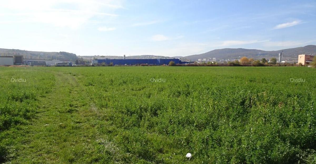 Vand teren intravilan in Deva suprafata totala 43 000 mp, zona Auchan - 3