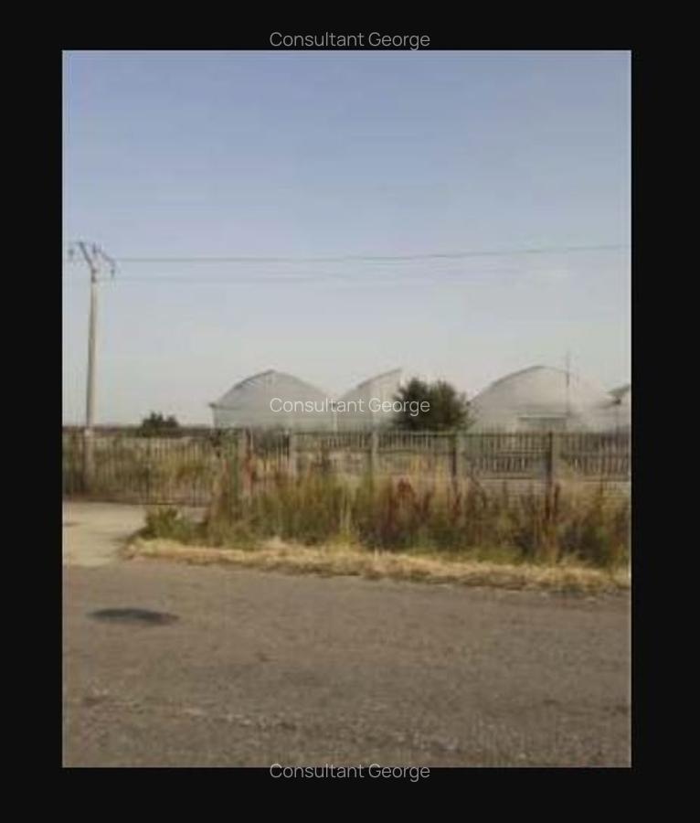 Spațiu industrial, 7300 mp în Uivar - 2