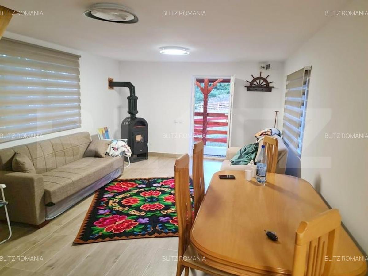 EXCLUSIV BLITZ !  Cabana in statiunea Muntele Baisorii - 7
