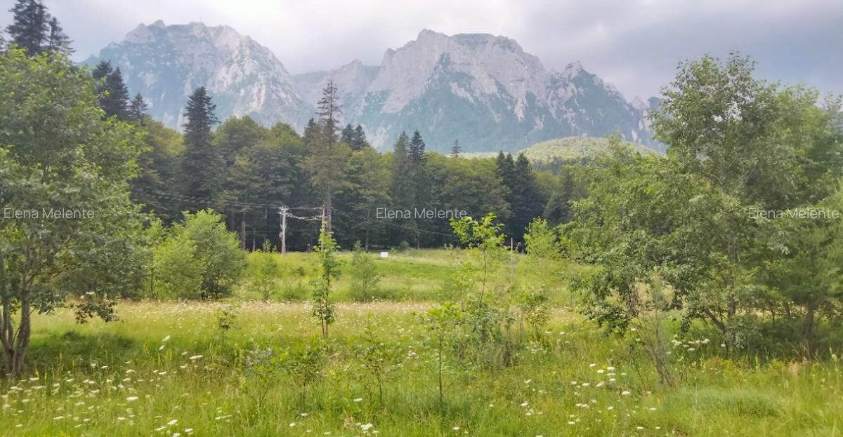 Apartament 2 camere in vila, peisaj fantastic catre mun?ii Bucegi!!! - 3