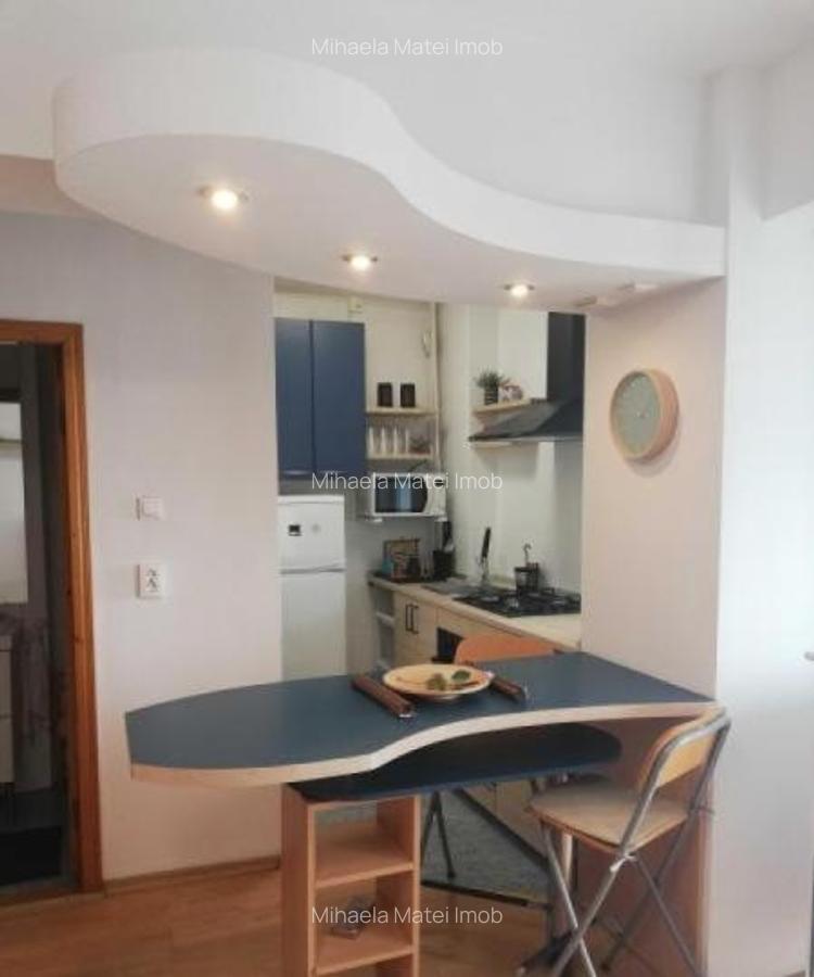 Garsoniera 32 mp/ Bd N Titulescu / zona Piata Victoriei - 3