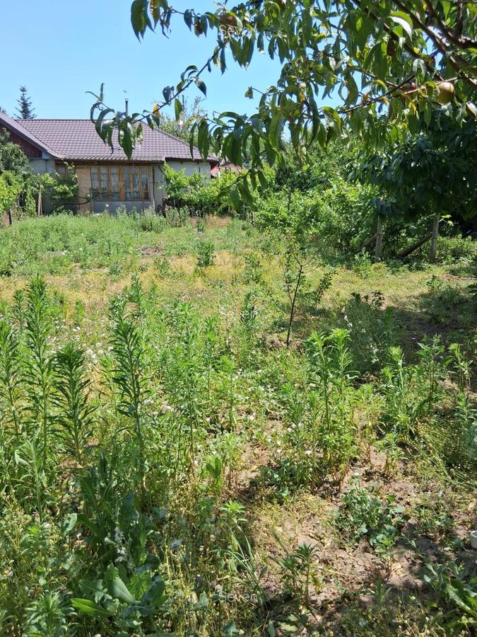 Casa 4 camere - Murfatlar - 135.000 euro(Cod E7+E11) - 10