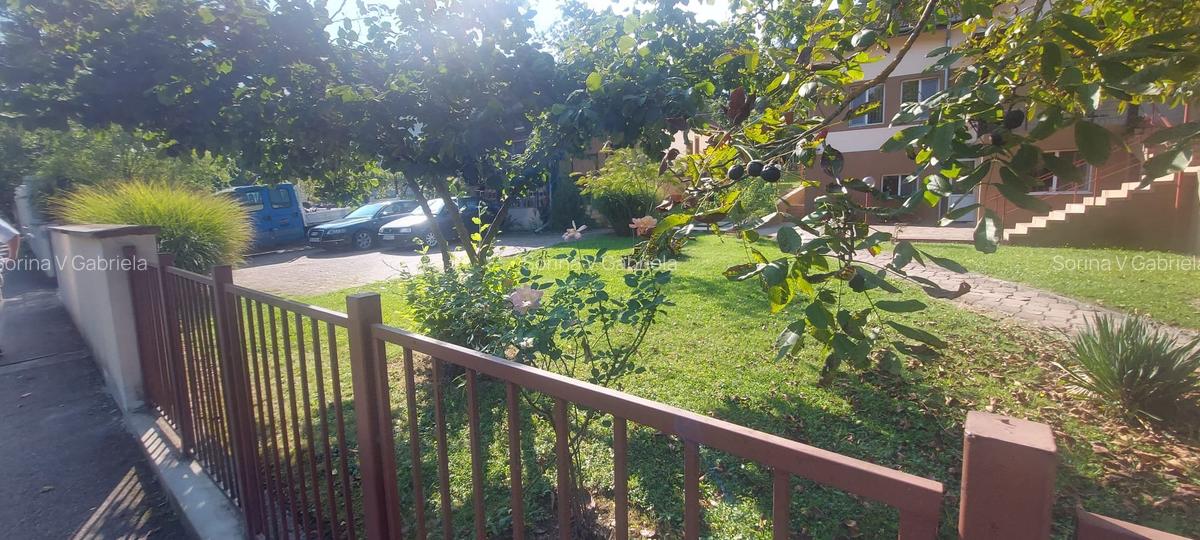 Pensiune functionala arhitectura deosebita Buzias - 7