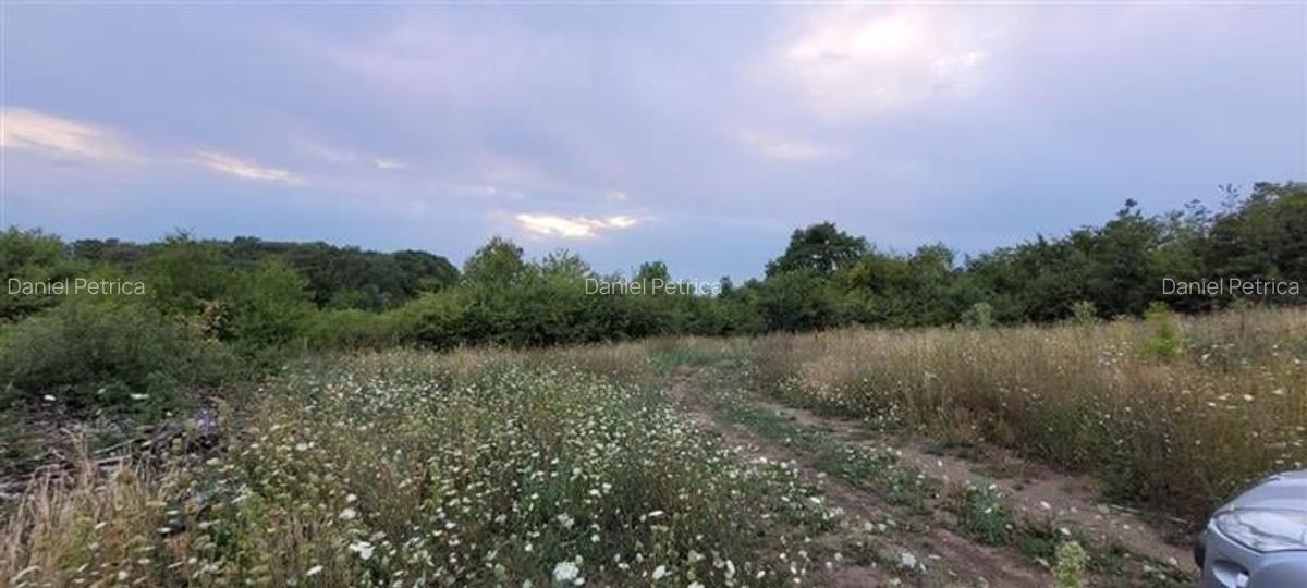 Teren agricol extravilan de 38000 mp, în Gușterița - 2