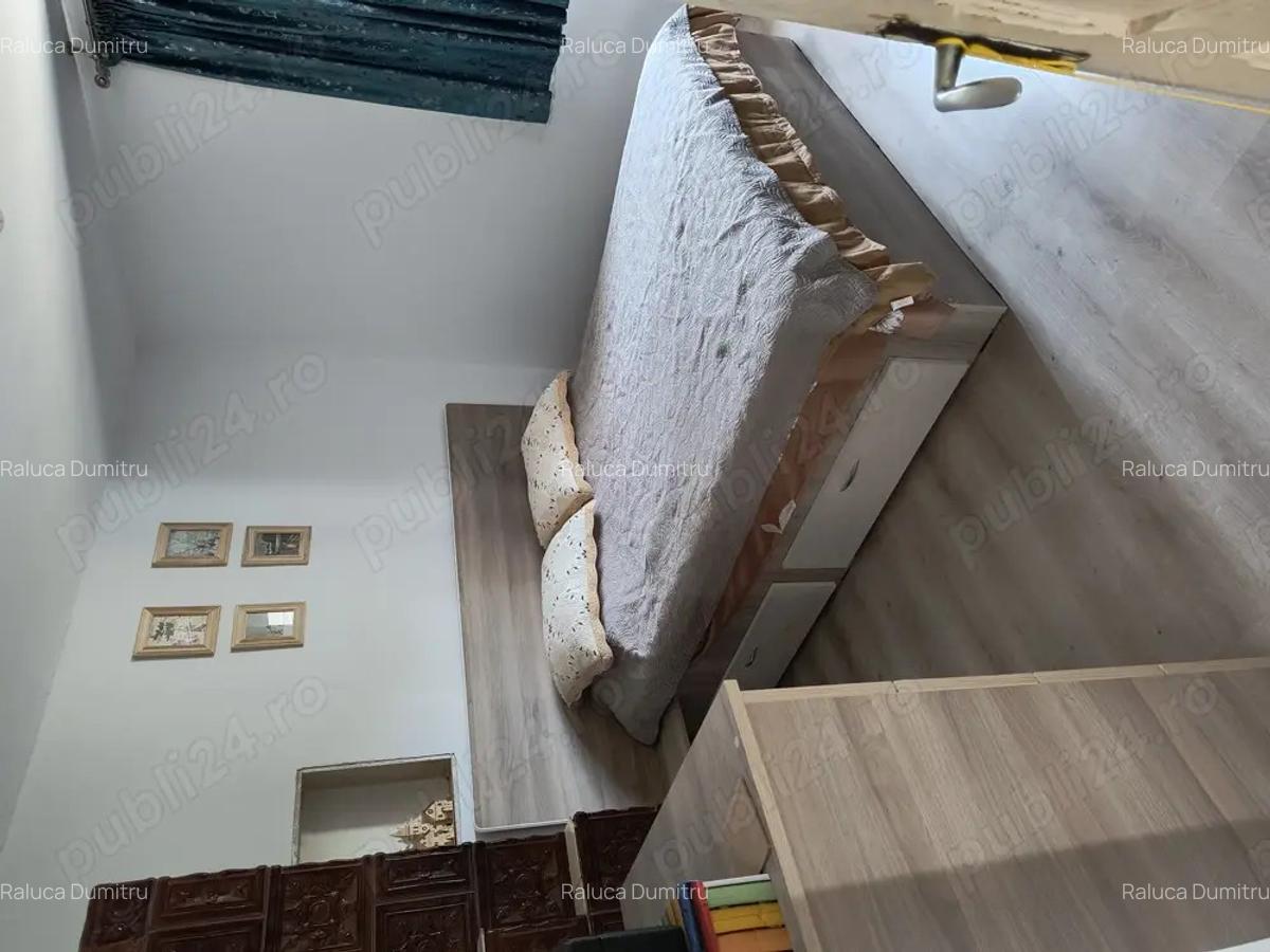 Casa si curte de vanzare, beci, 2 terase, 2 fantani - 1