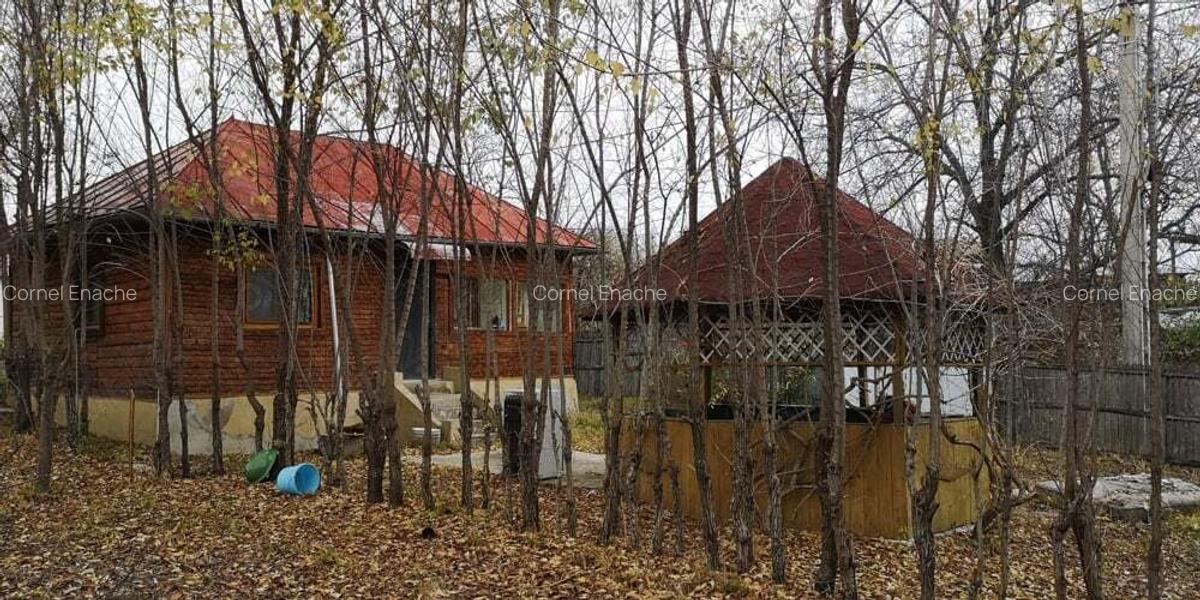 Casa de vanzare Salcia Prahova - 6