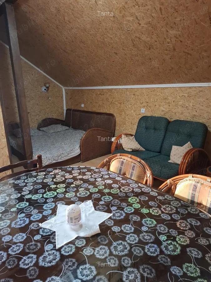 Casa spa?ioasa cu vedere panoramica, situata in Tekija Serbia, la doar 25 km de Por?ile de Fier I - 7