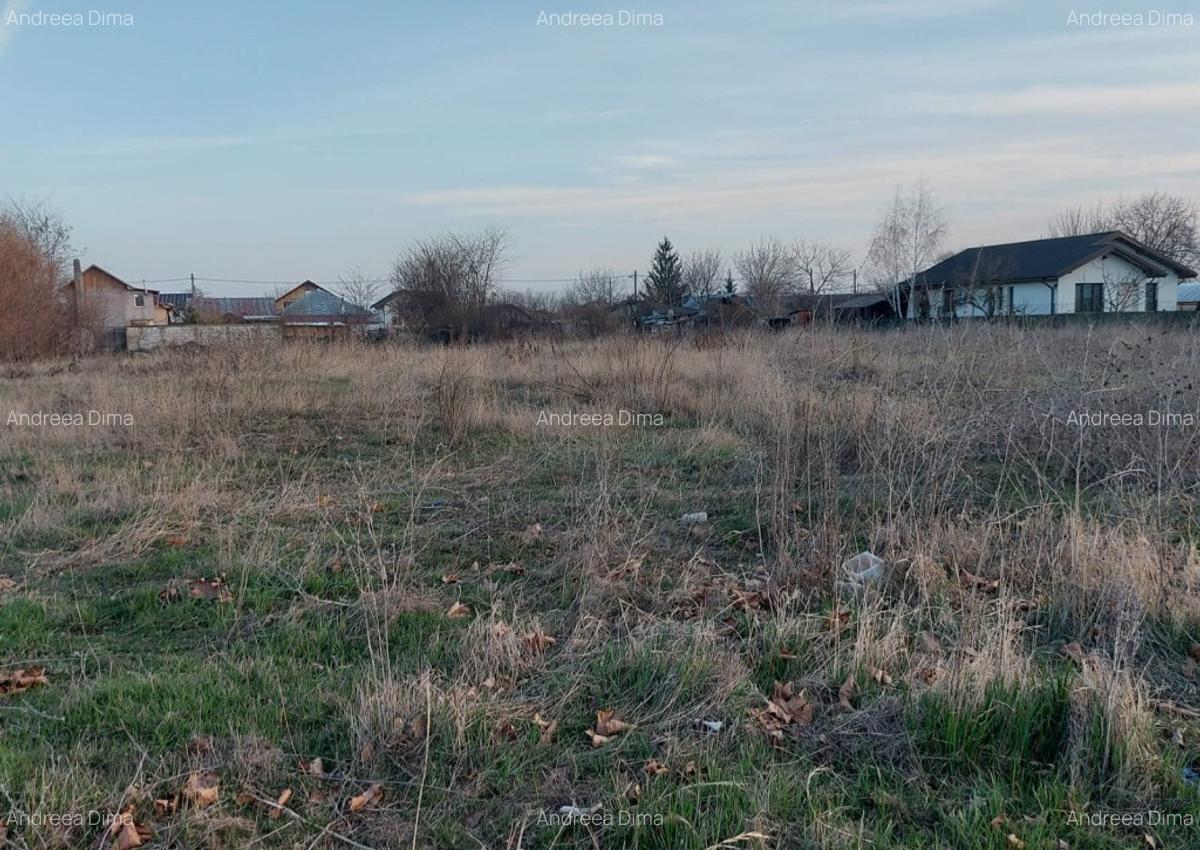 Teren intravilan Buftea - 4