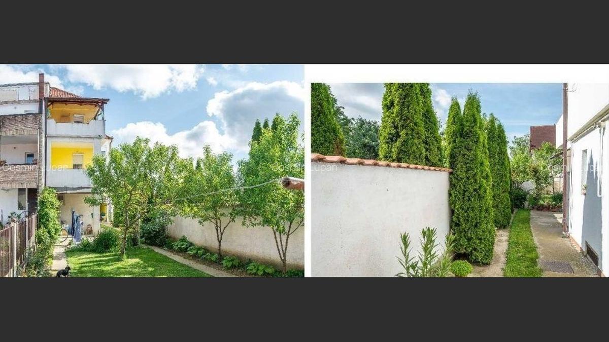 Spacious and elegant house with 5 rooms, 260 m2, Satu Mare - 2