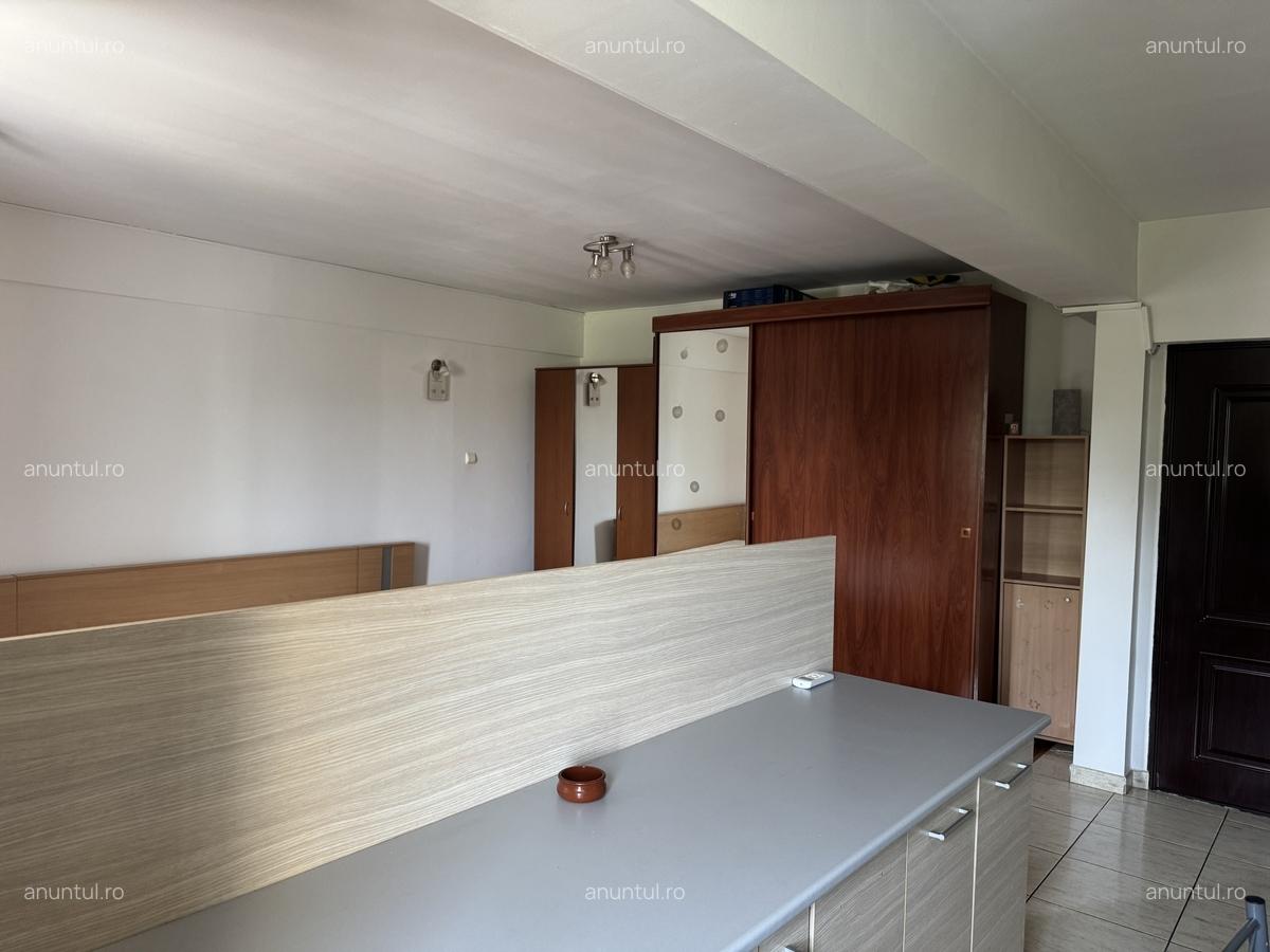 Nicolae Grigorescu, Salajan - 9