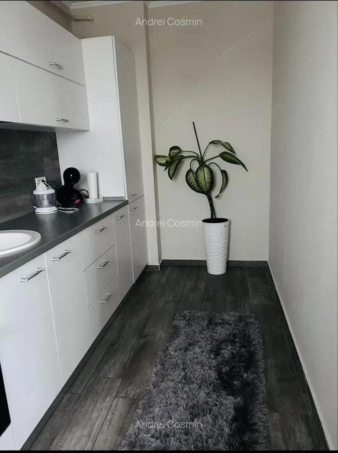 Apartament 2 camere Dumbravita etaj 1 - 5