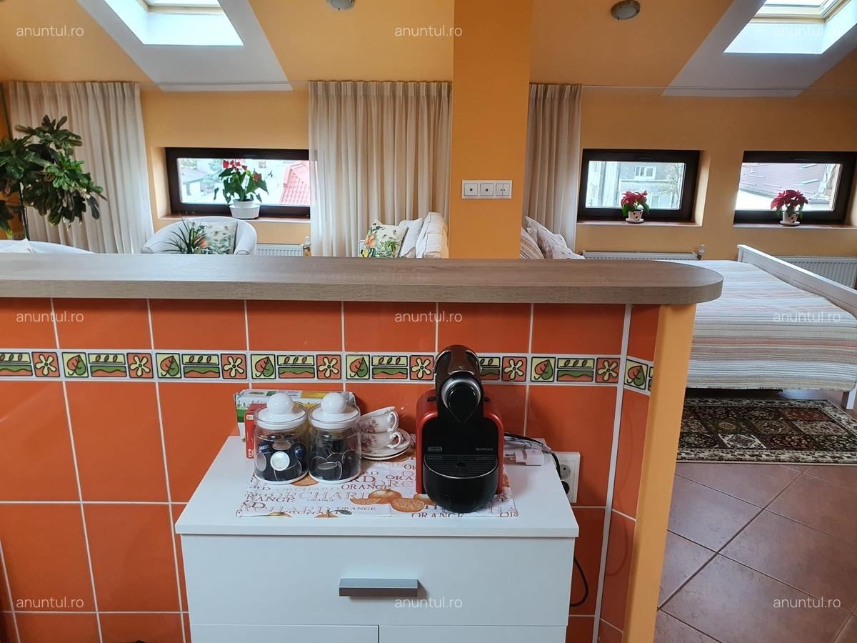 Dorobanti, Tudor Stefan - 13