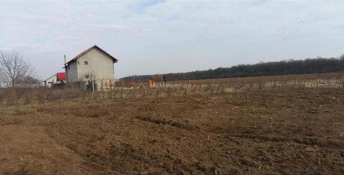 Teren intravilan, Ganeasa- Ilfov, 1.655 mp, 58.000 euro - 2