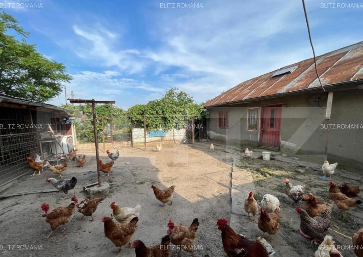 Casa D + P 150 mp utili ?i teren 1.347 mp, zona Stadionulu - 3