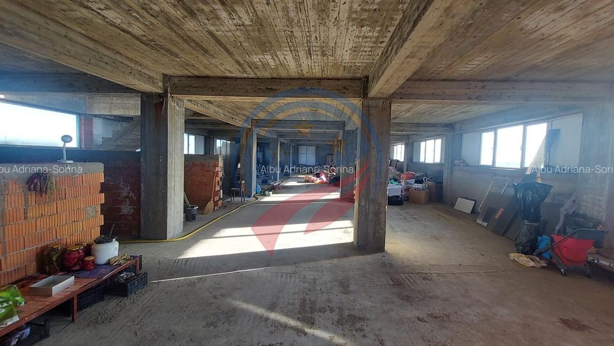 Proprietate industrială versatilă - ideală pentru investiții - 3