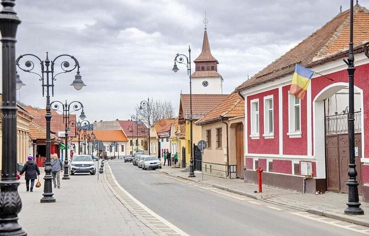 Zona Centrala - Terasa cu suprafata generoasa - 4