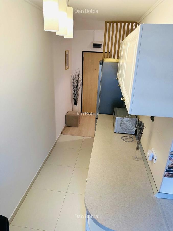 Garaoniera centrala proprie - decebam- muncii + Loc Parcare DB1317 - 4