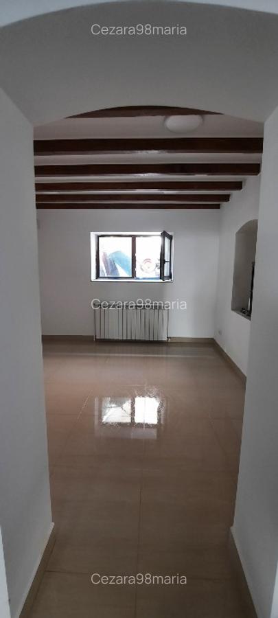 Spatiu comercial ultracentral - 5