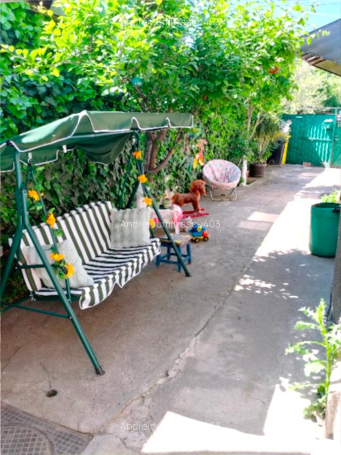 CASA+TEREN 266mp ona parc carol viilor - 8