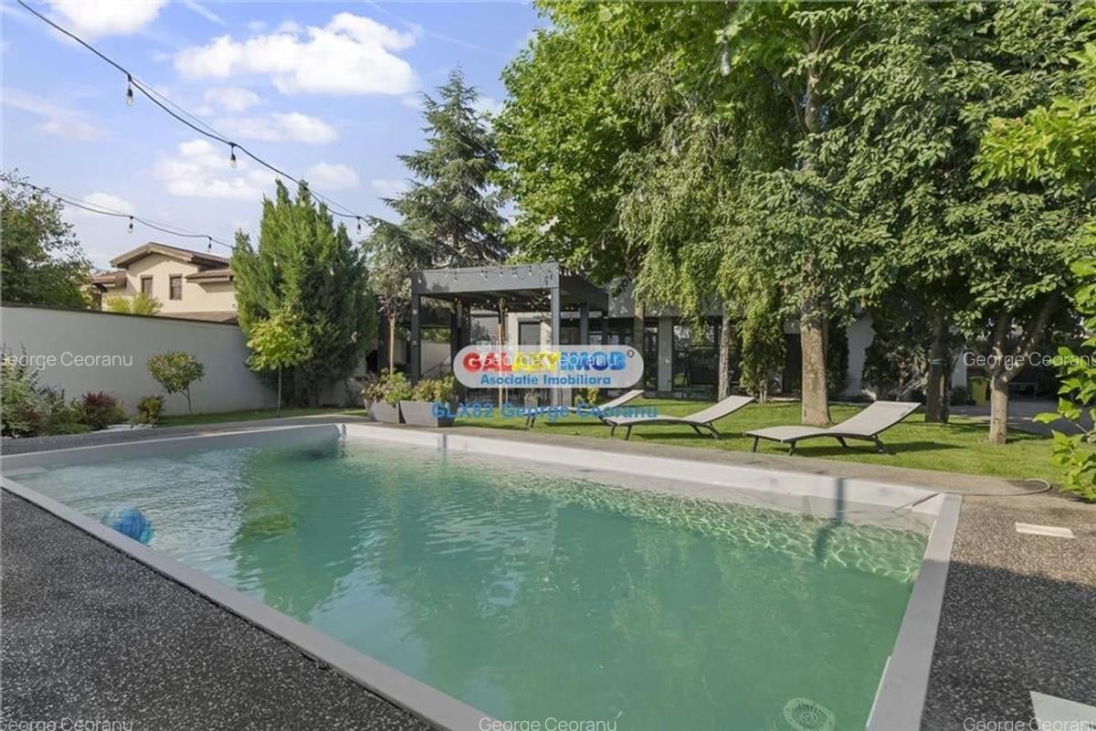 Vanzare vila in stil mediteranean,curte mare, piscina, Berceni Macului - 19
