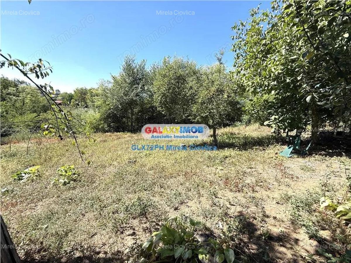 Vanzare casa batraneasca Baicoi Prahova - 10