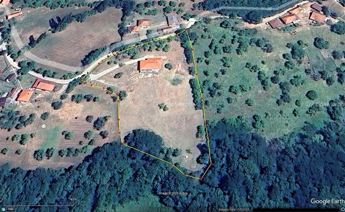 Acasa in Apuseni - 20