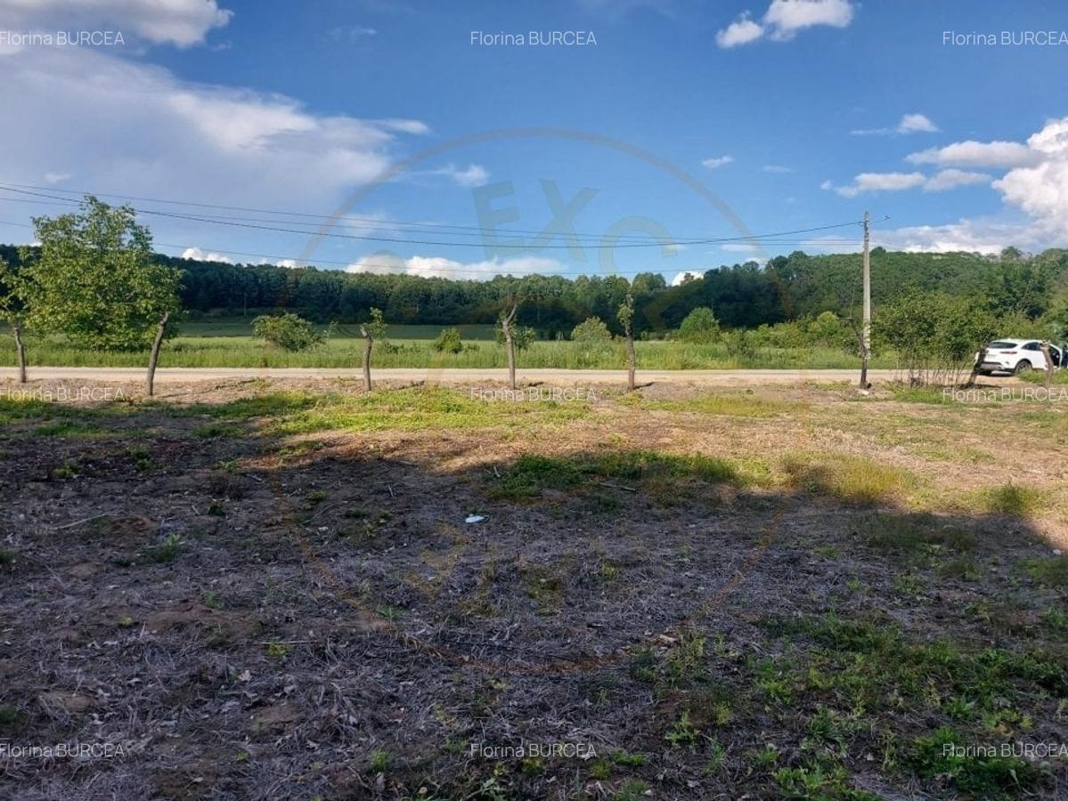 Teren intravilan 1843 mp - Cerbu/Albota/Arges - cu proiect de casa pe parter - 5
