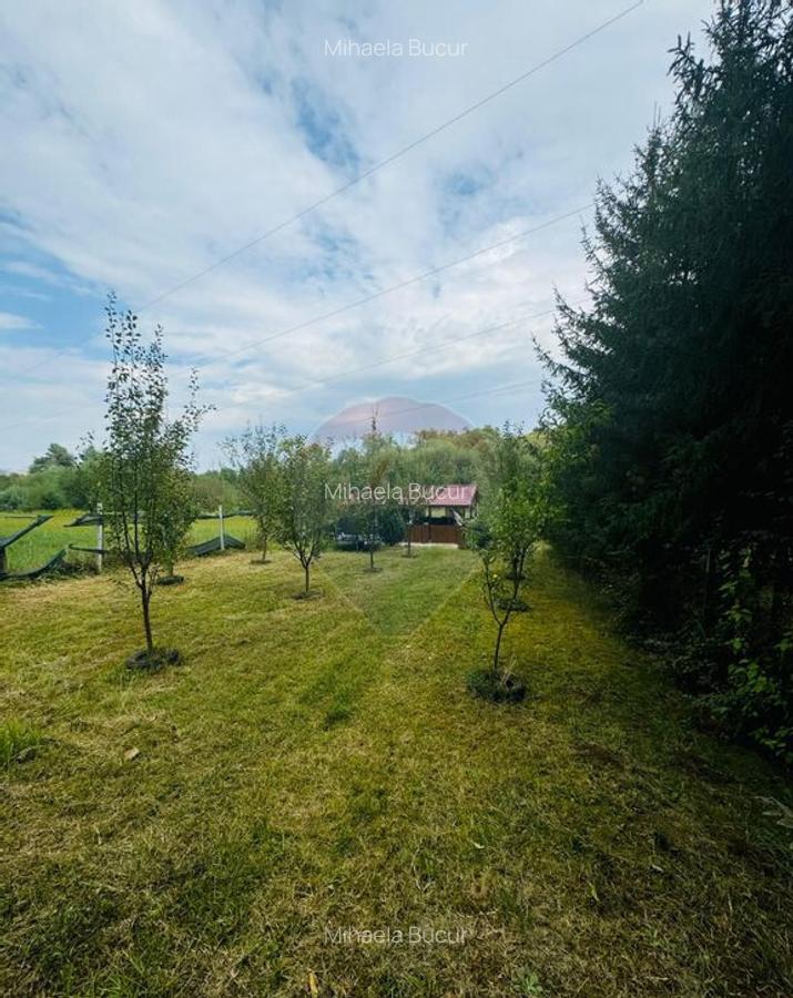 Teren Drumul Buzdului cu o cabana mica - 8