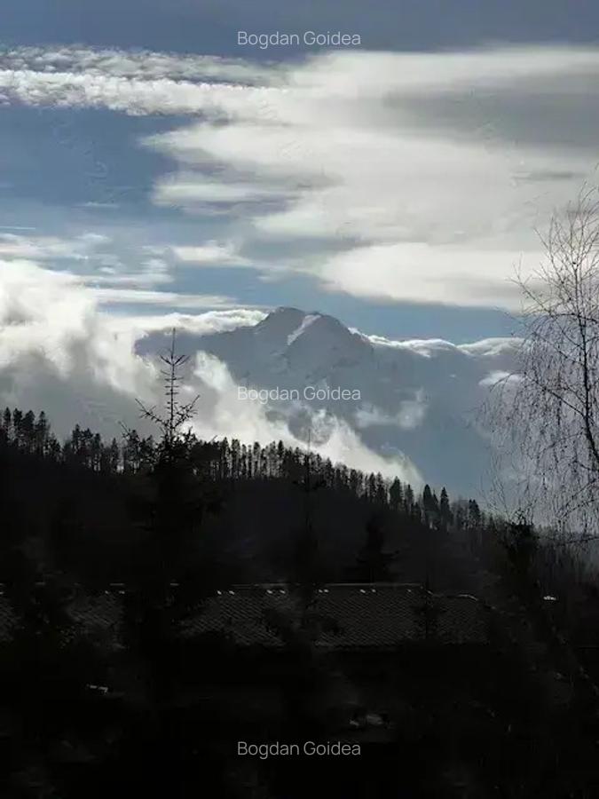 Apartament 2 camere Trei Brazi - 9