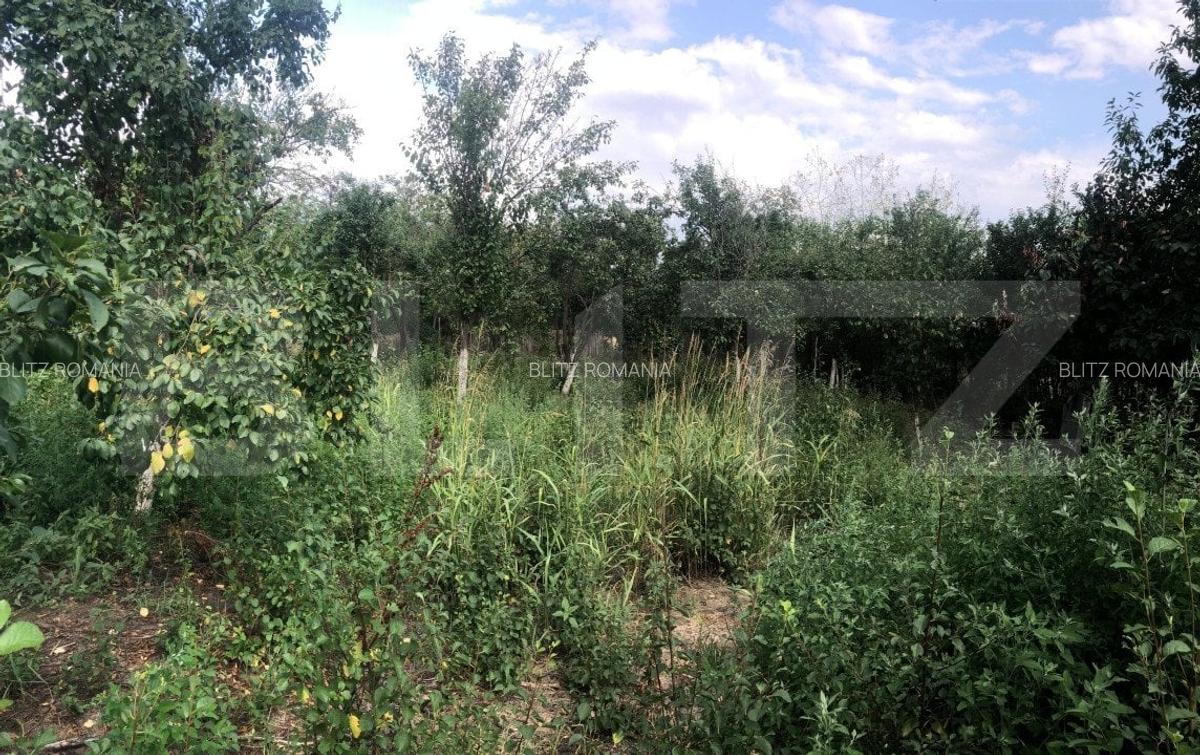 Casa individuala cu 4 camere, teren 2906 mp, la 3 km de Gaesti - 11