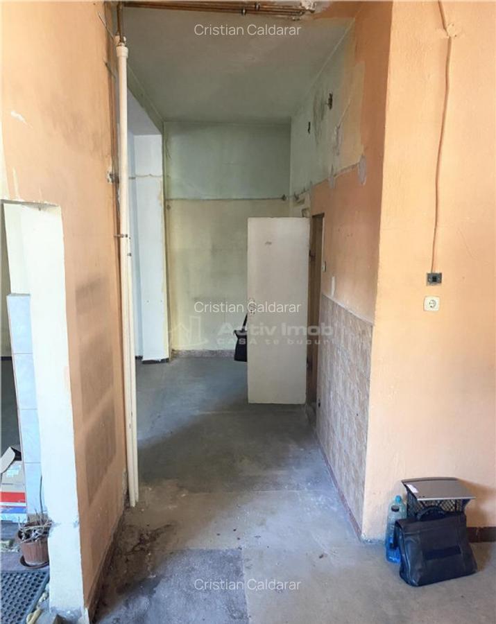 Spatiu Comercial 54 mp - Calea Aradului - Iosia - 2