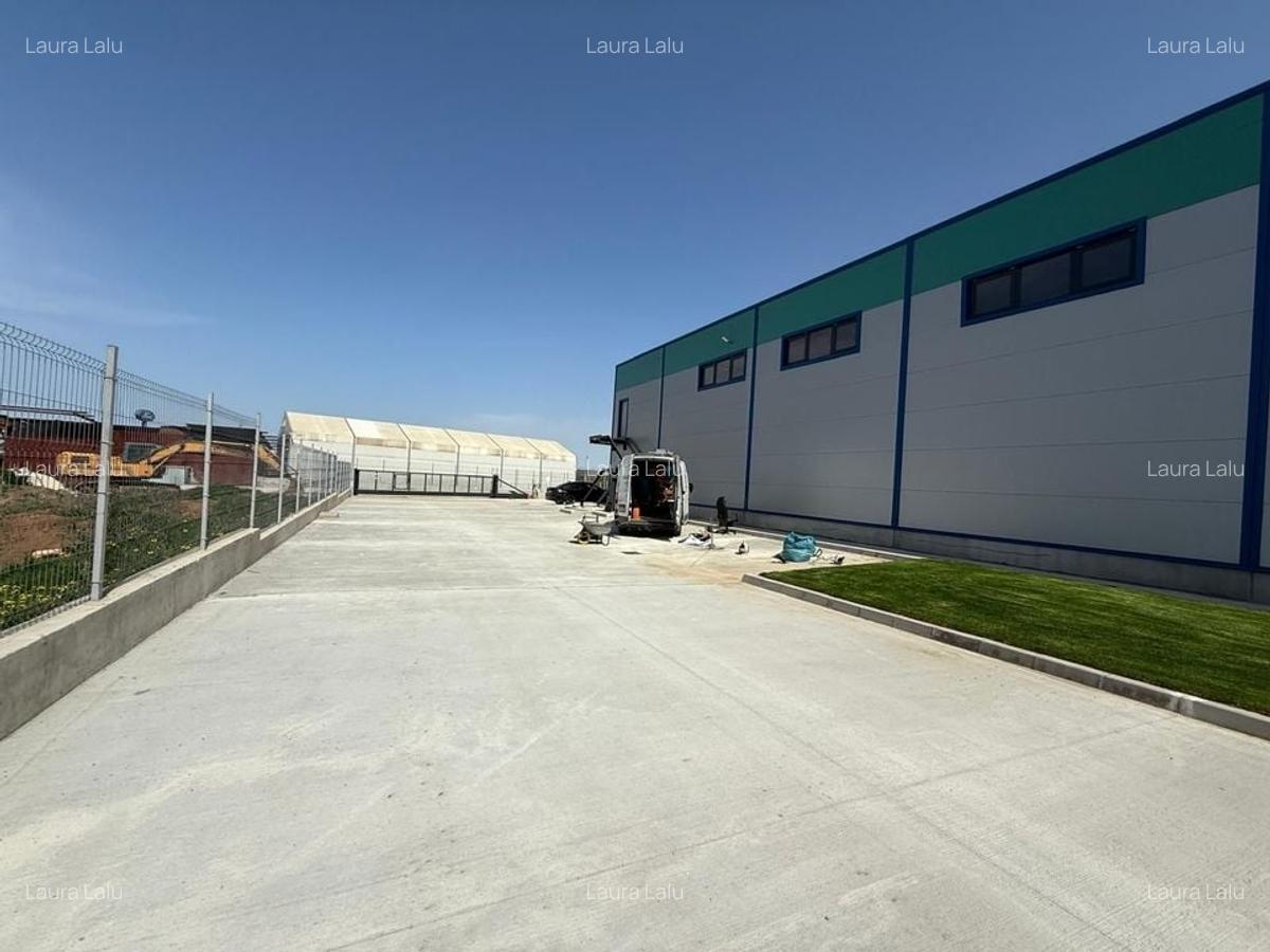 Hale Industriale Noi de Vânzare în Popești-Leordeni - Sos. Oltenitei - 4